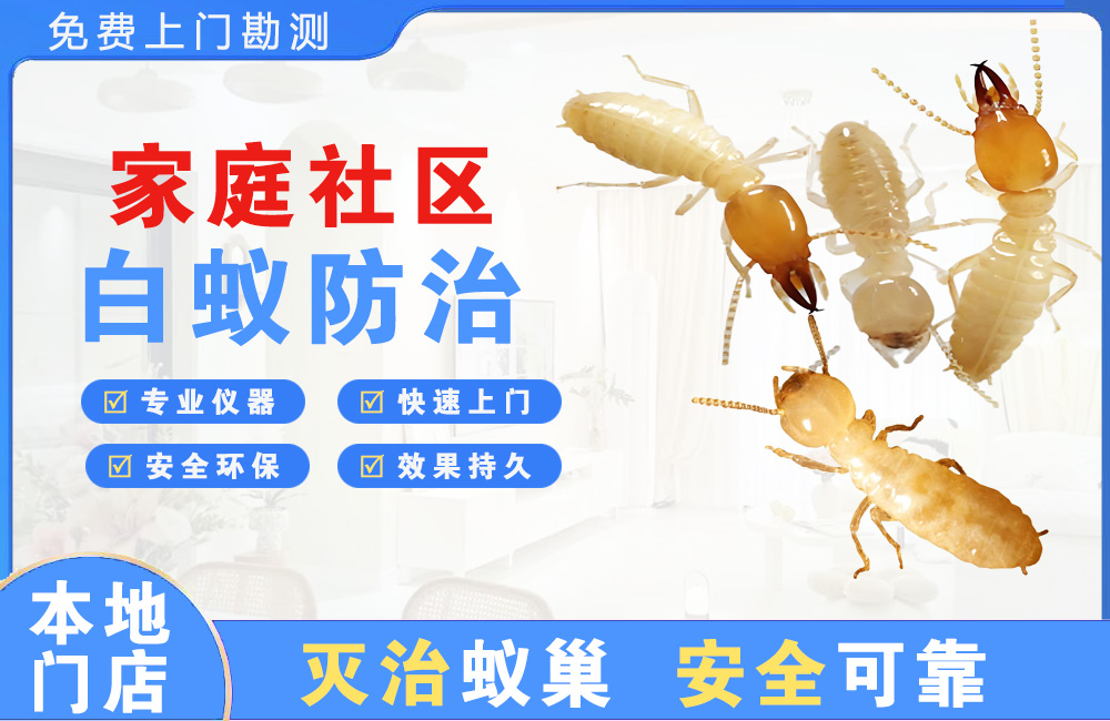 百色家庭社区白蚁防治