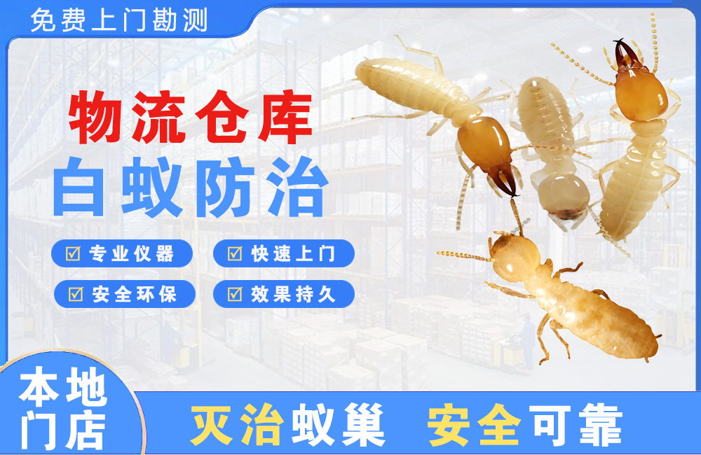 百色物流仓库白蚁防治