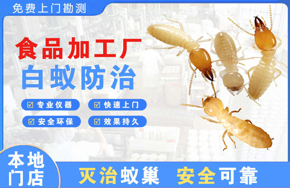百色食品加工厂白蚁防治
