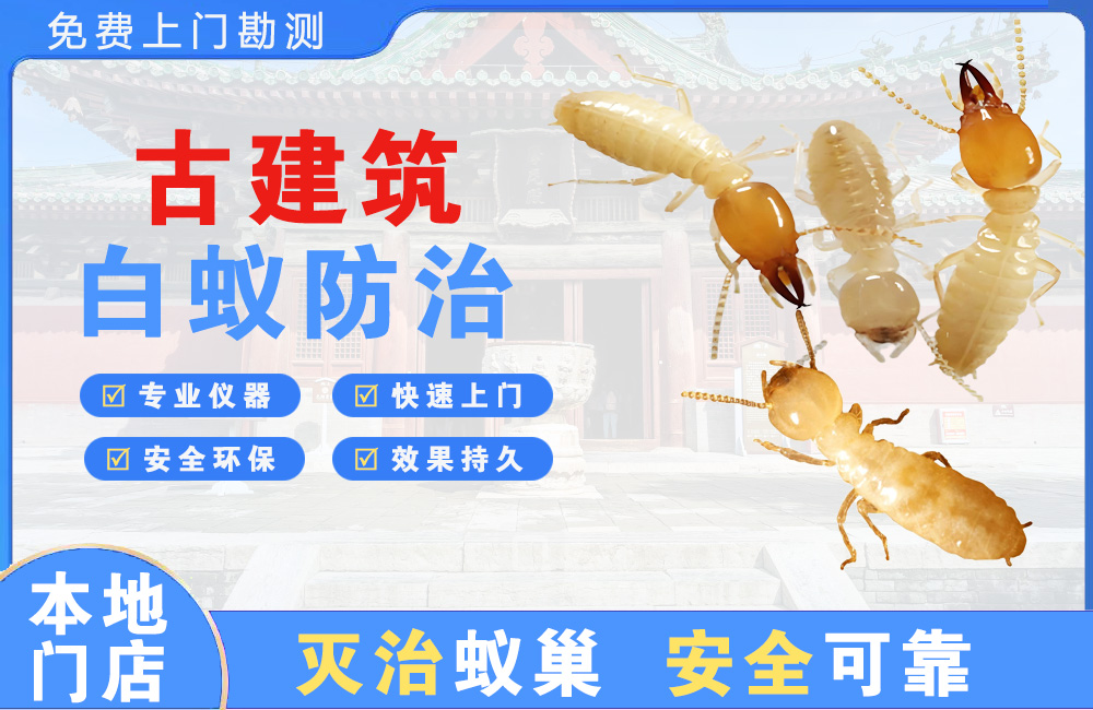 百色古建筑白蚁防治